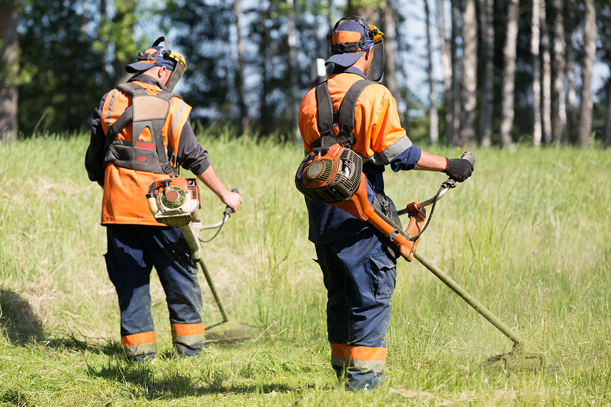 https://image.shutterstock.com/image-photo/landscapers-men-gardeners-cutting-grass-600w-289123835.jpg